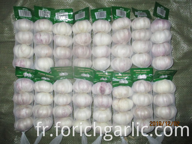 Where Can I Buy Fresh Garlic